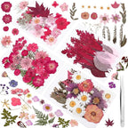 100 Pcs Dried Pressed Flowers, Real Natural Dried Wildflowers Leave - Image 2
