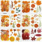 NESCCI 350 Pcs Orange Fall Dried Flowers - Image 3