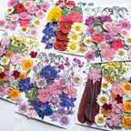 35Pcs Dried Pressed Flowers for Resin DIY Art Crafts Natural Dry Floral Daisy - Image 5