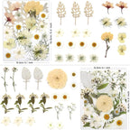 LUXEEASE 80P White Pink Dried Pressed Flowers | Ivory white palette, fits any - Image 2