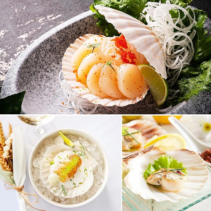12 PCS Scallop Shells Natural Seashell, Fish Tank and Vase Filler - Image 5