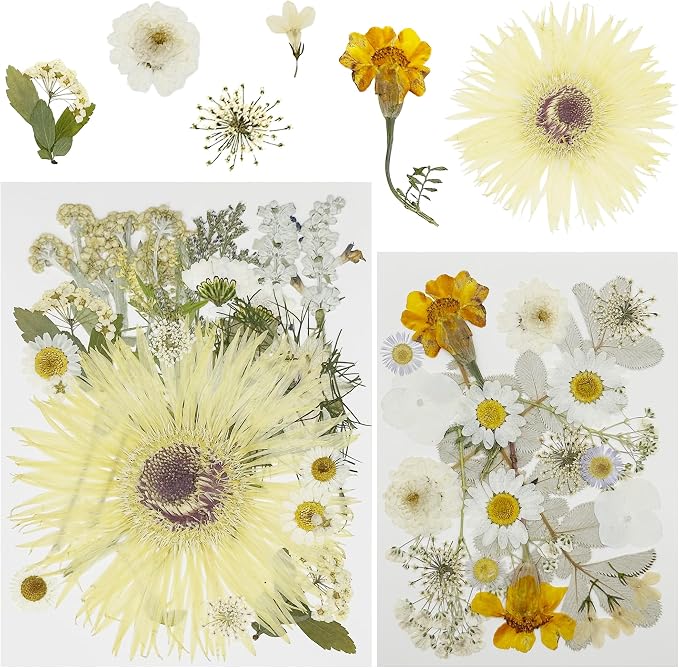 Woohome 44 PCS Pressed Flowers Natural Dried Flowers White Resin Flowers Real by Woohome