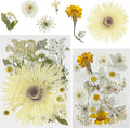 Woohome 44 PCS Pressed Flowers Natural Dried Flowers White Resin Flowers Real by Woohome