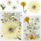 Woohome 44 PCS Pressed Flowers Natural Dried Flowers White Resin Flowers Real by Woohome