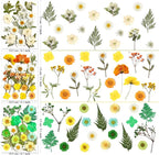 MIKIYA 182Pcs Dried Pressed Flowers - Image 5