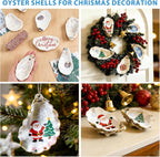 20Pcs 5"-6" Concave Oyster Shells - Image 7