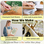 90Pcs Mini Dried Pressed Baby's Breath Flowers Bulk - Image 3