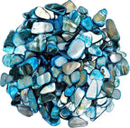 Natural Crushed Shells Chips Irregular Mother of Pearl Seashell Fragments Sea by EDSRDUS