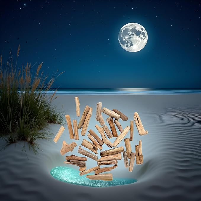 20 Pcs Natural Driftwood Pieces Branch Slices Craft Sticks Beach Decor - Image 3