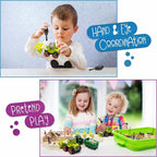 59 PCS Farm Sensory Bin - Image 4