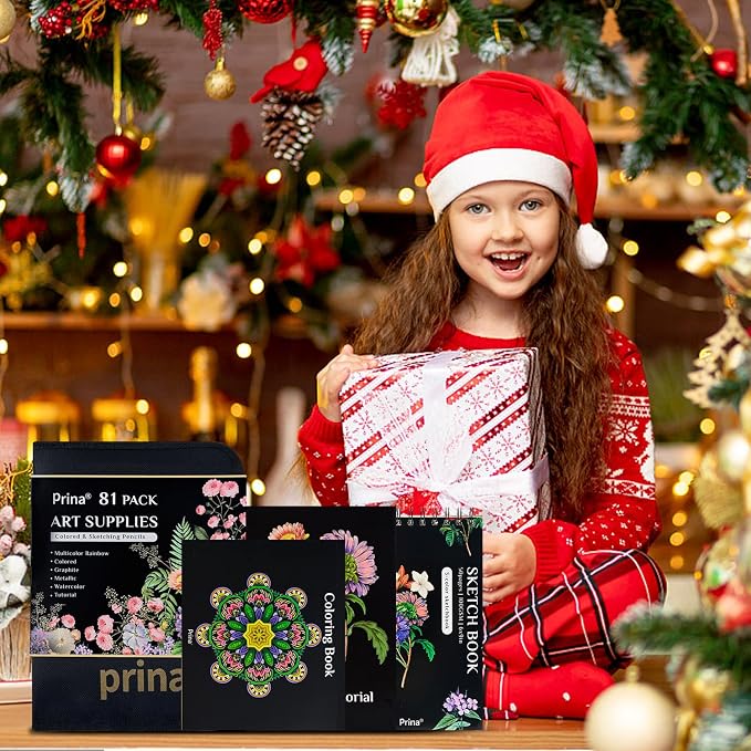 PRINA 81 Drawing Set Sketching Kit, Pro Sketch Pencils Art Supplies - Image 7