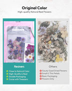 Dried Flowers, Resiners 58Pcs Pressed Flowers - Image 3