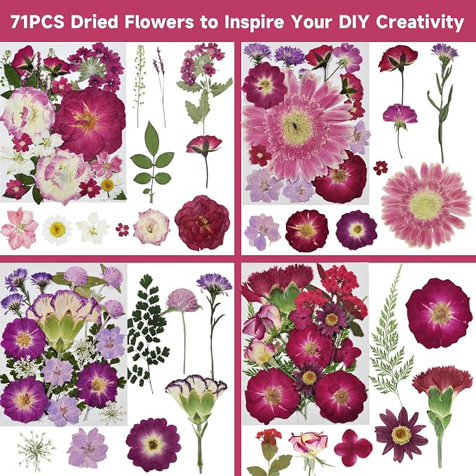 Dried Pressed Flowers for Resin | Real Pressed Flowers Dry Leaves Bulk Natural - Image 4