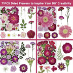 Dried Pressed Flowers for Resin | Real Pressed Flowers Dry Leaves Bulk Natural - Image 4