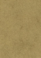 Sandstone Light Brown - Image 2