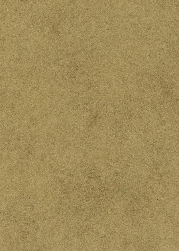 Sandstone Light Brown - Image 2