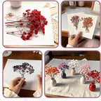 9 Pack Dried Flowers, Natural Pressed Flowers Kit - Image 3