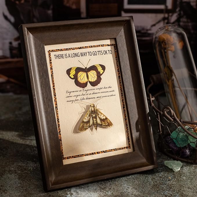 100PCS Insect Specimen PET Stickers – Bug-Themed Waterproof Decals Featuring - Image 7