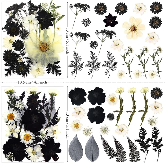 132Pcs Black Pressed Dried Flowers and Butterfly - Image 5