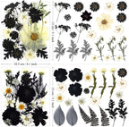 132Pcs Black Pressed Dried Flowers and Butterfly - Image 5