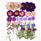 Large Purple Dried Pressed Flowers - Image 5