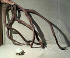 AWXZOM Aquarium Driftwood Branches, 2.2lb 9-14inch Long Driftwood - Image 2