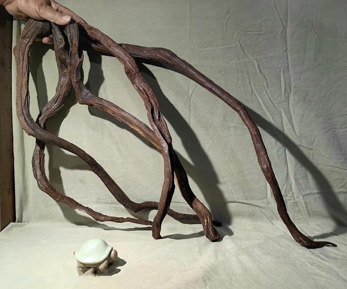 AWXZOM Aquarium Driftwood Branches, 2.2lb 9-14inch Long Driftwood - Image 2