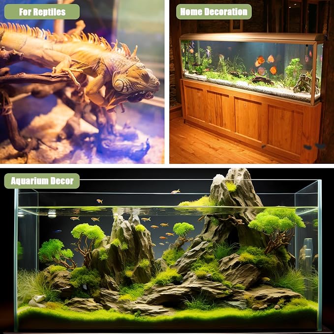 LYPHARD AQUARIUMS Driftwood for Aquarium, 3 Pieces 6-10" Natural Small Drift - Image 5