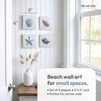TideAndTales Beach Decor Seashell Wall Art - Image 3