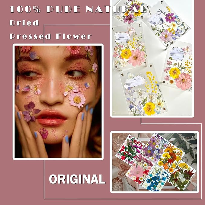 MIKIYA 150Pcs Dried Pressed Flowers - Image 2