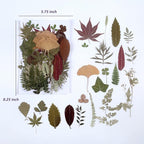 100 PCS Real Dried Pressed Greenery Leaves Natural Plant Herbarium - Image 2