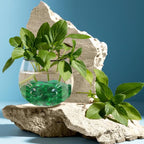 0.5lb Green Glass Marbles for Vase, Decorative Pebbles for Vase Fillers - Image 5