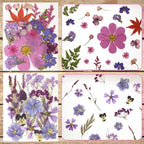 Dried Flowers for Resin | Vacuum Packed DIY Pressed Flowers for Epoxy, Nail - Image 3