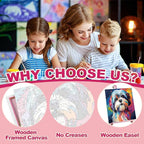 cviokrdu 4 Pack Paint by Numbers Kit - Image 3
