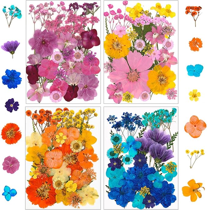 210 pcs Dried Flowers for Resin, Natural Flowers and Leaves Kit by Unknown