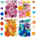 210 pcs Dried Flowers for Resin, Natural Flowers and Leaves Kit by Unknown