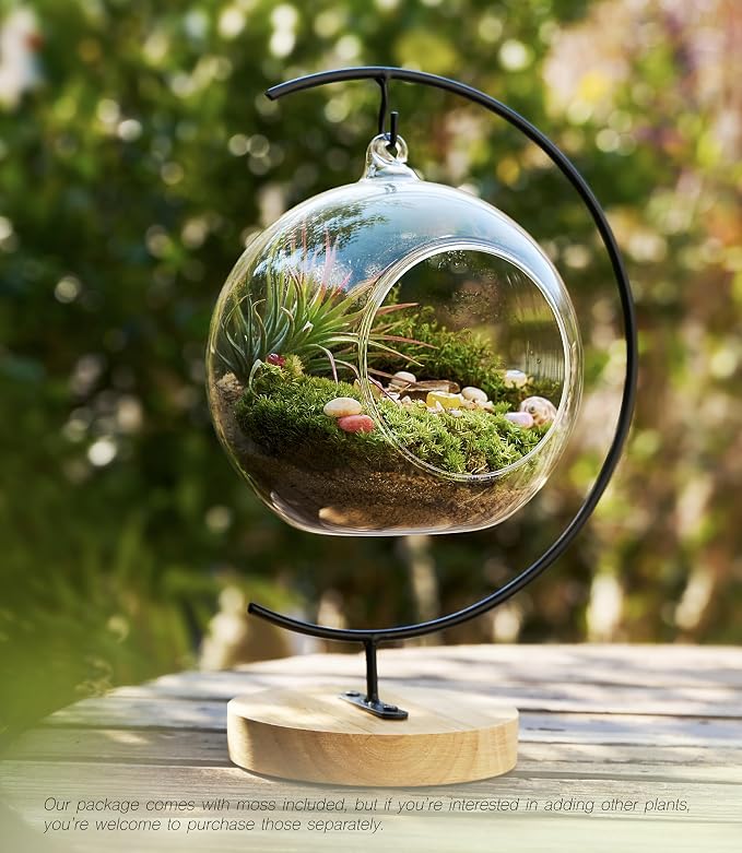 LUCKYRUNES DIY Terrarium Kit - Image 5