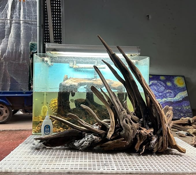 AWXZOM Aquarium Driftwood Branches, 2.2lb 9-14inch Long Driftwood - Image 3