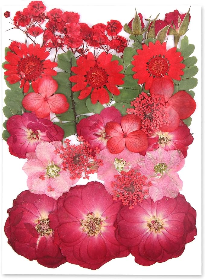 Augshy Red Dried Pressed Flowers, Pressed Red Roses Dried Flowers by Augshy