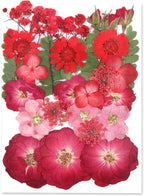 Augshy Red Dried Pressed Flowers, Pressed Red Roses Dried Flowers by Augshy