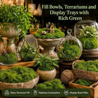 Fake Green Moss for Potted Plants - Image 7