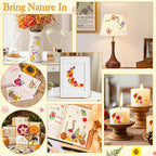 470 PCS Pressed Flowers for Crafts, Real Natural Dry Flowers - Image 6