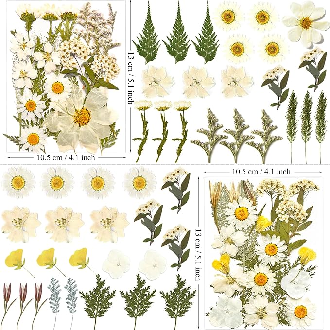 MIKIYA 90Pcs White Dried Pressed Flowers - Image 5