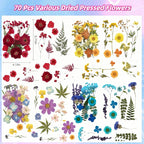 4 Packs Dried Pressed Flowers for Resin, Natural Dried Flowers for Crafts - Image 5
