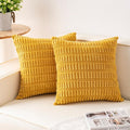 Aegero Pack of 2 Corduroy Decorative Throw Pillow Covers 20x20 InchSoft Boho by Unknown