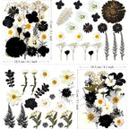 MIKIYA 90Pcs Black Pressed Dried Flowers - Image 6