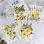 130Pcs White Pressed Dried Flowers and Butterfly - Image 3