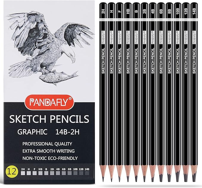 PANDAFLY 12 Pieces Professional Drawing Sketching Pencil Set, Graphite Pencils by PANDAFLYArtSupplies