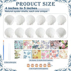 Halloscume 12 Set Scallop Shells - Image 2