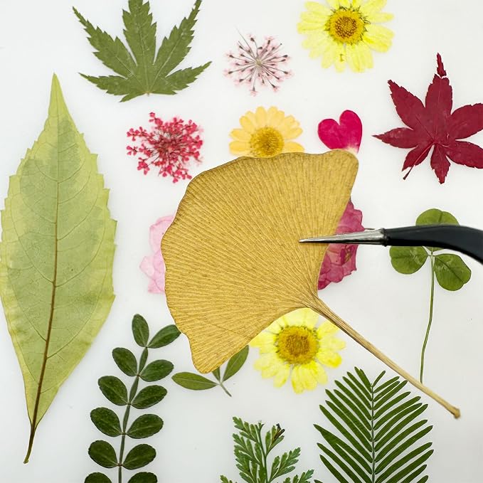 Woohome 78PCS Natural Dried Pressed Flowers and Natural Dried Pressed Leaves - Image 4